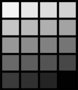 greyscale-259x300